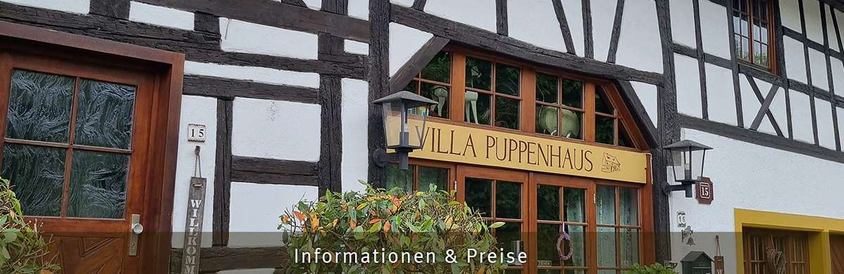 villa puppenhaus