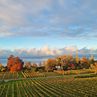 ausfluege puppenhaus